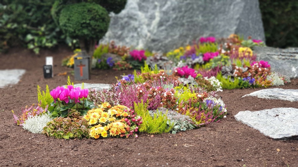 Grabbeet vor grauer Steinstele: pinke Alpenveilchen, gelbe Chrysanthemen, rosa Erika