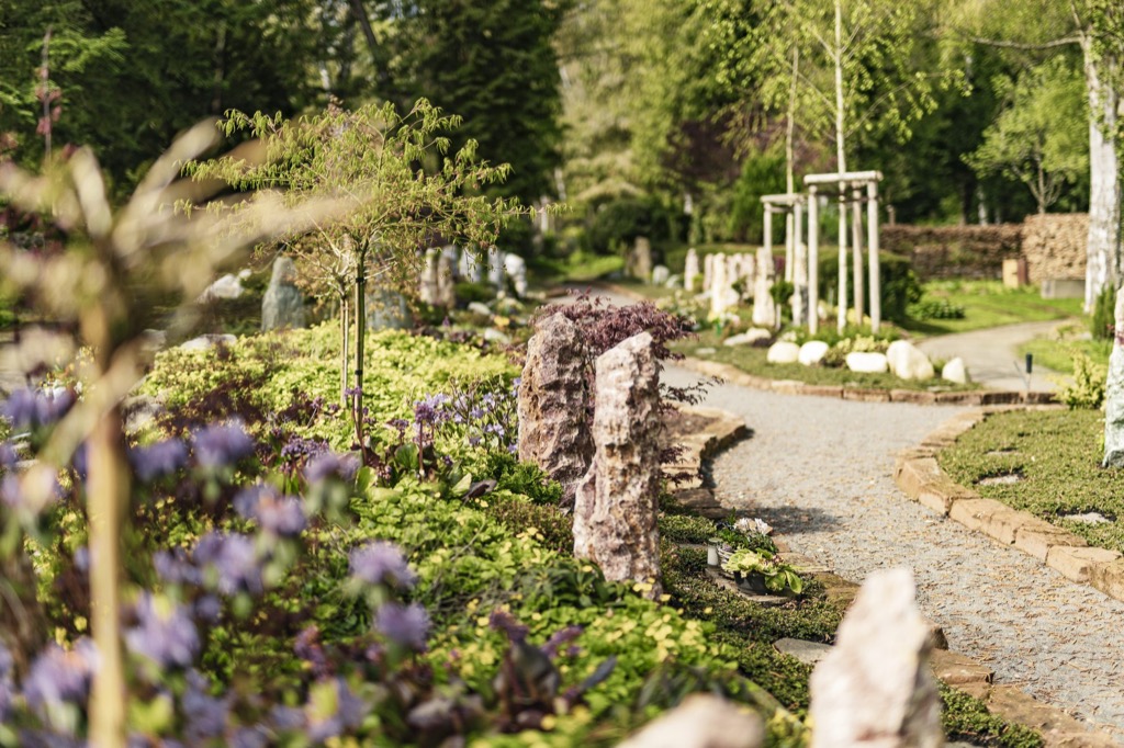 Erinnerungsgarten in Dillweißenstein: Kiesweg mit Steinkante, links violett blühende Stauden und eine Natursteinstele, dahinter weitere Grabstätten und junge Bäume
