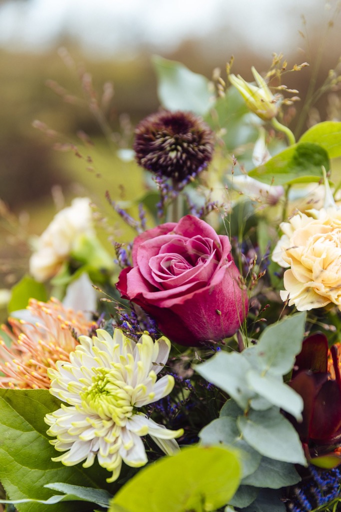 Nahaufnahme eines Straußes: pinke Rose, hellgrüne Chrysantheme, apricotfarbene Nelke, dunkle Skabiose und Eukalyptusblätter